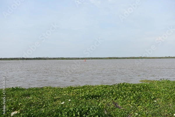 Obraz river magdalena