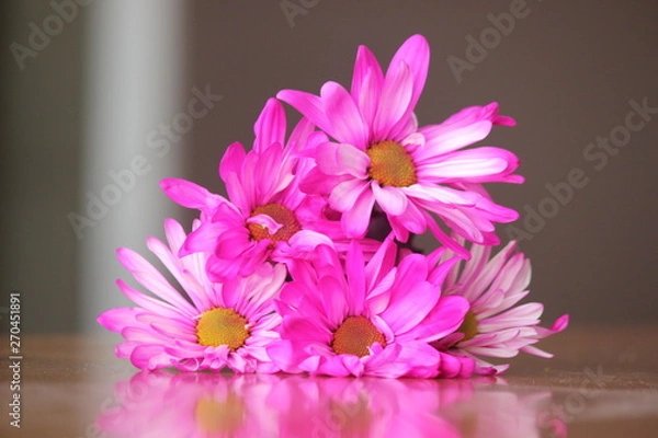 Obraz pink flowers with plain background