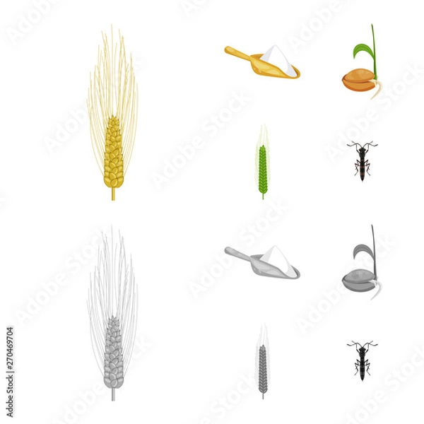 Fototapeta Isolated object of agriculture and farming icon. Set of agriculture and plant  vector icon for stock.