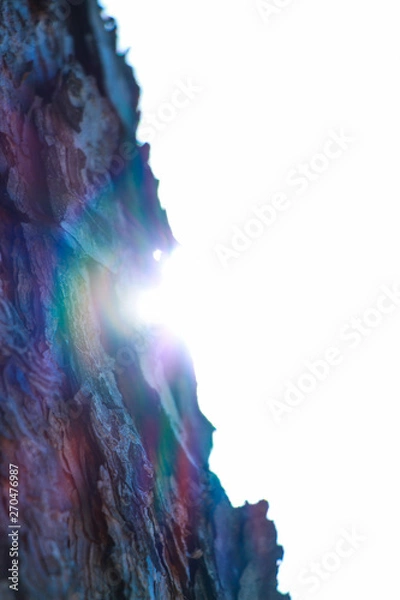 Fototapeta smoke on black background