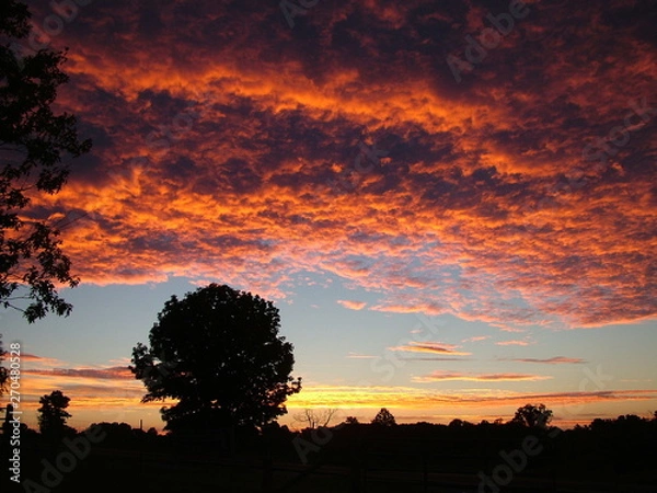 Obraz Morning Colors