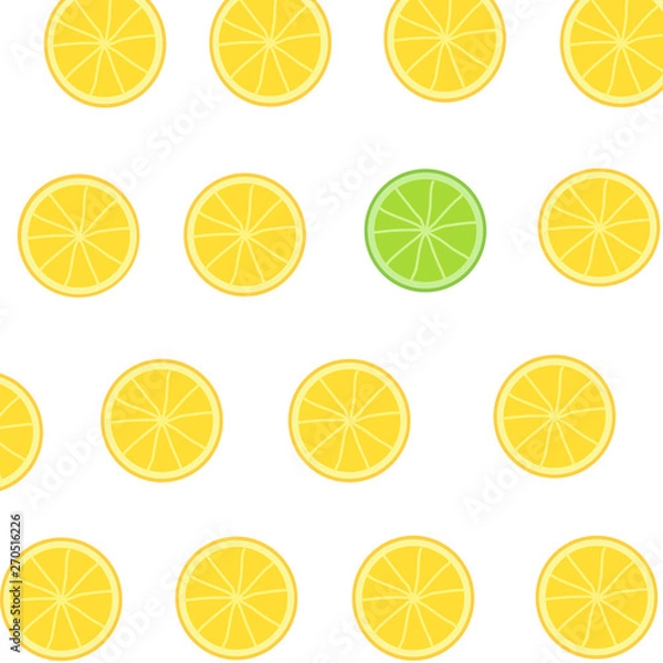 Fototapeta set of citrus slices