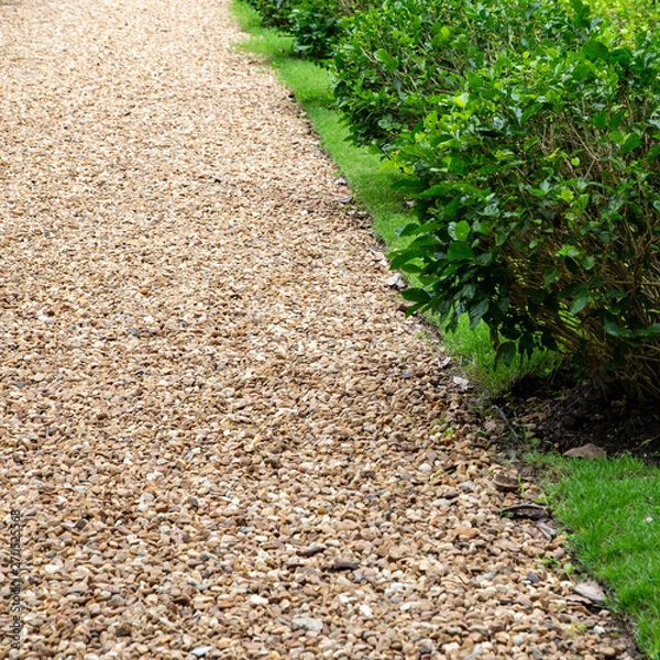 Obraz Stone path way with plant