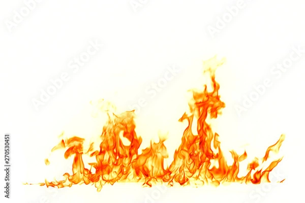 Fototapeta Fire flames isolated on white background.