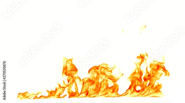 Obraz Fire flames isolated on white background.