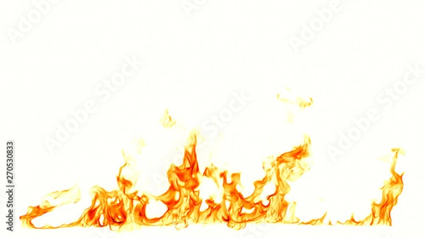 Obraz Fire flames isolated on white background.