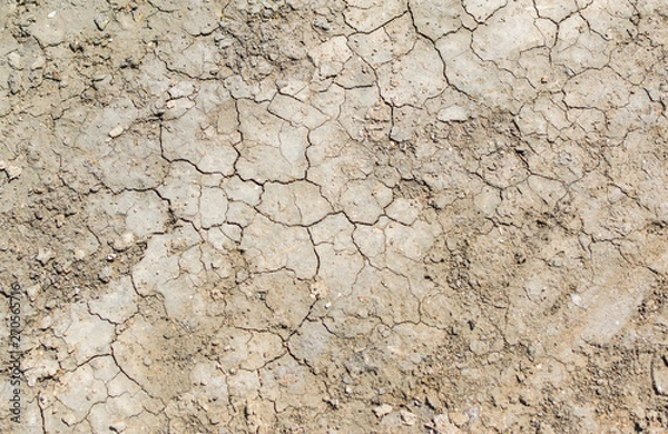 Fototapeta Terre craquelée