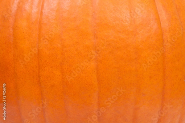 Obraz Tło dyni w zbliżeniu