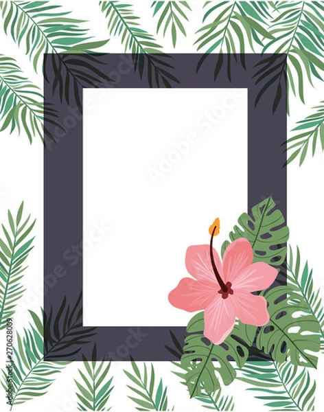 Fototapeta frame with flower and leafs of summer