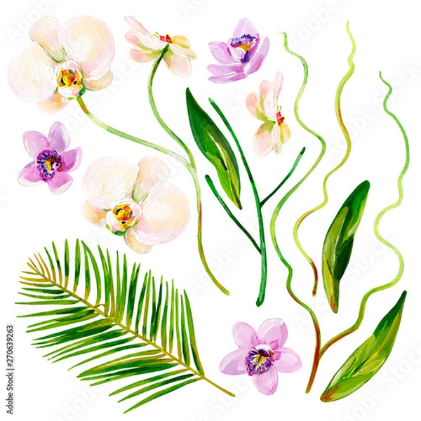 Fototapeta Gouache tropical set with lilac and white orchids, stems and leaves