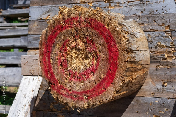 Fototapeta wood target for throwing an ax