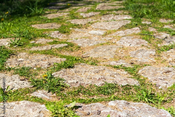 Fototapeta stone path in the park