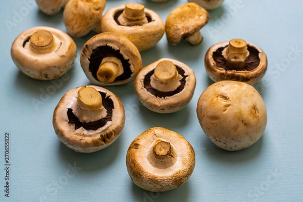 Fototapeta Champignon mushroom pattern on a blue background