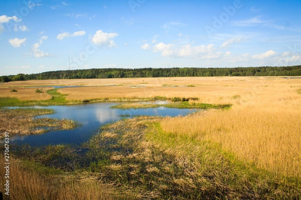 Obraz Marchland Landscape