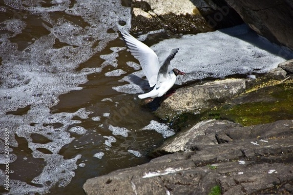 Obraz Finlandia - Helsinki
