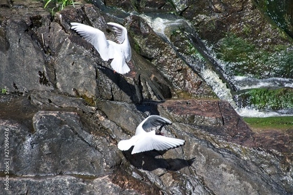 Obraz Finlandia - Helsinki