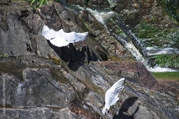 Obraz Finlandia - Helsinki