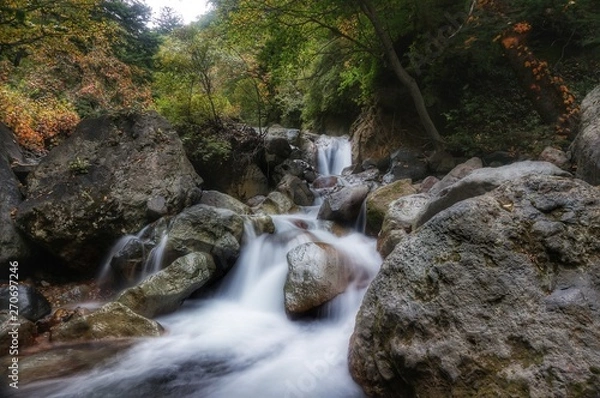 Fototapeta 秘境の沢