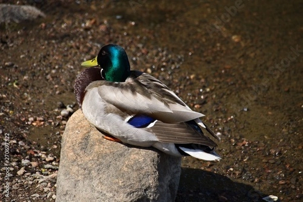 Obraz Finlandia - Helsinki