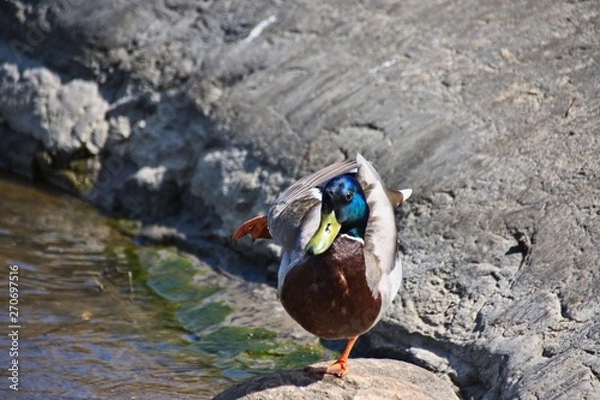 Obraz Finlandia - Helsinki
