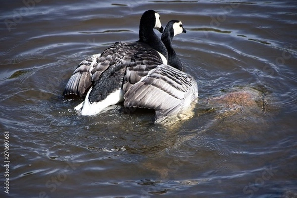Obraz Finlandia - Helsinki