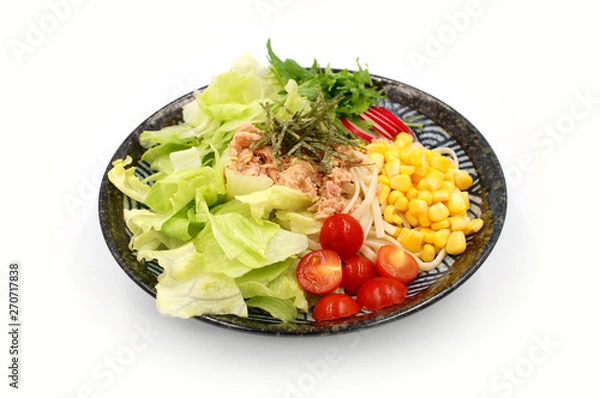 Obraz サラダうどん