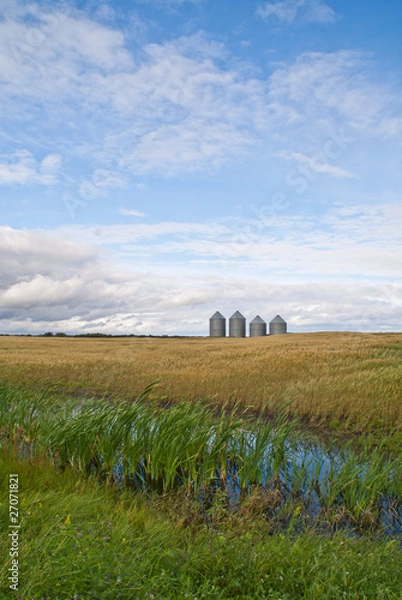 Fototapeta Four grain bins stand in the distance on a prairie field