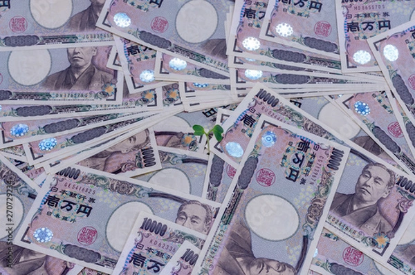 Obraz 成長するお金-金融と投資の概念