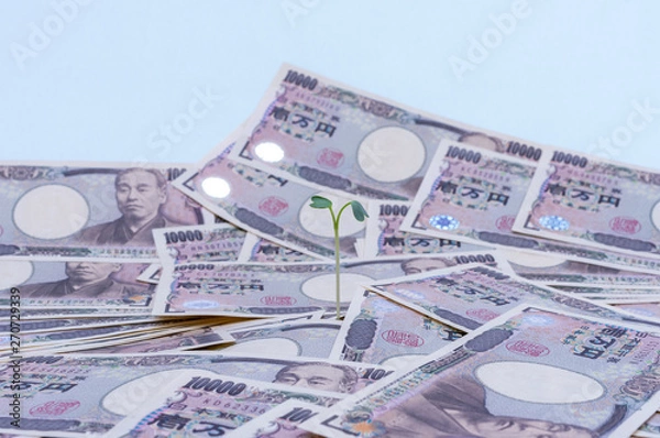 Obraz 成長するお金-金融と投資の概念