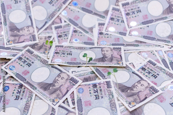 Obraz 成長するお金-金融と投資の概念