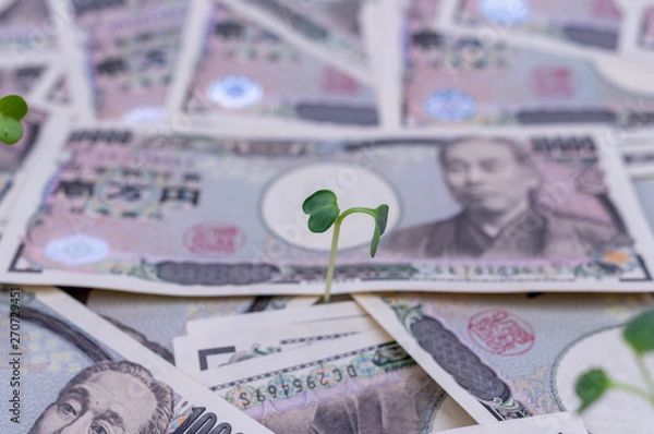 Obraz 成長するお金-金融と投資の概念