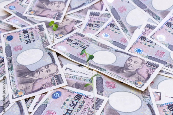 Obraz 成長するお金-金融と投資の概念