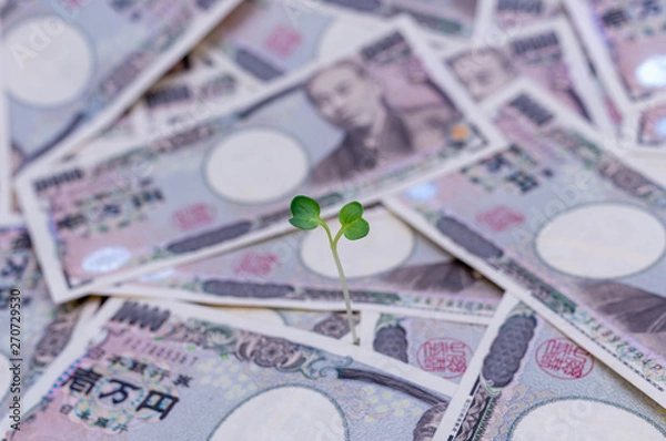 Obraz 成長するお金-金融と投資の概念