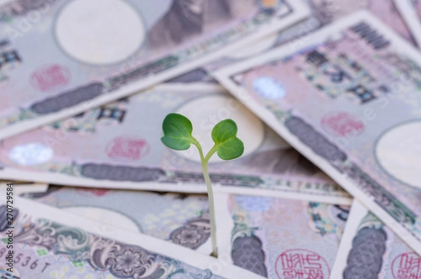 Obraz 成長するお金-金融と投資の概念