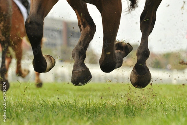 Obraz Horse racing action