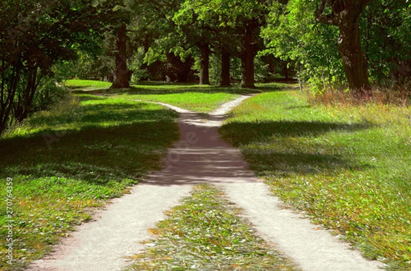 Obraz Two walking paths among the grass intersect in the park on a bright sunny summer day