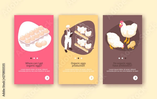 Obraz Poultry Farm Vertical Banners