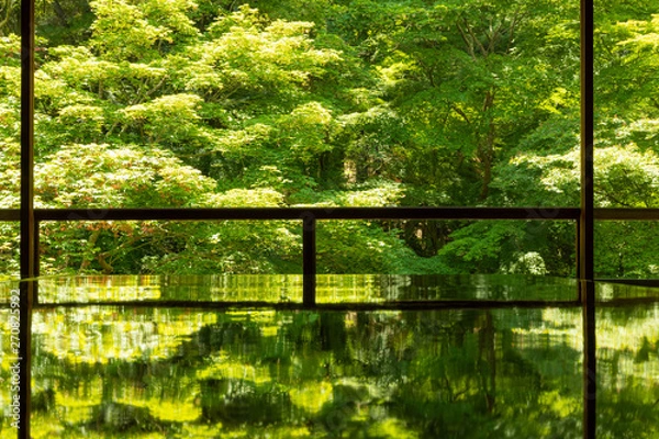 Obraz 瑠璃光院 逆さ新緑 (日本庭園, 寺社)