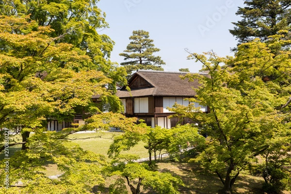 Fototapeta 日本庭園 桂離宮 (京都)