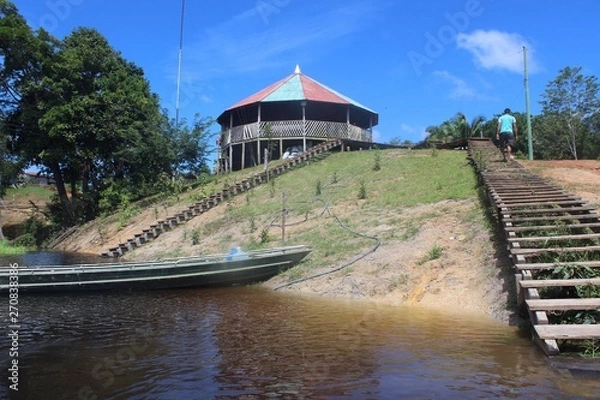 Obraz Paisagem amazônica 