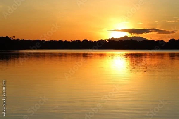 Obraz sol