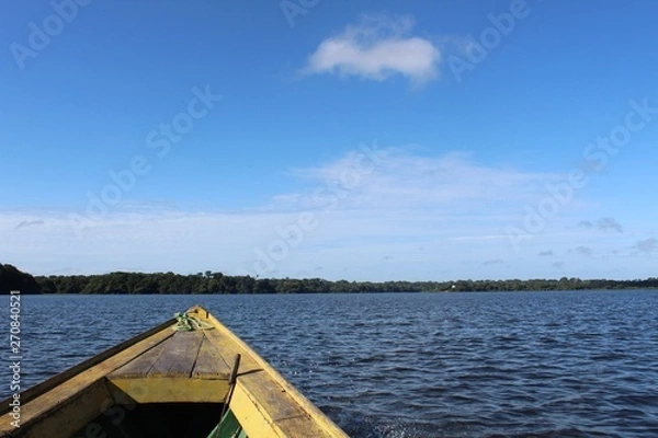 Obraz rio amazônico