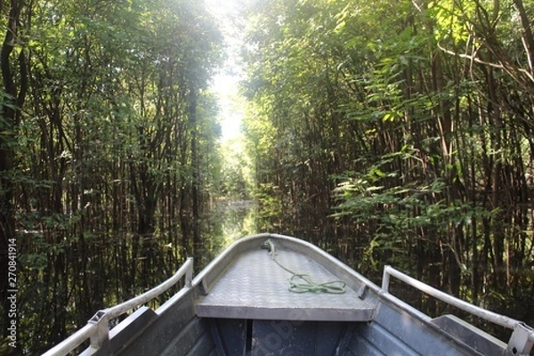 Obraz Floresta amazônica