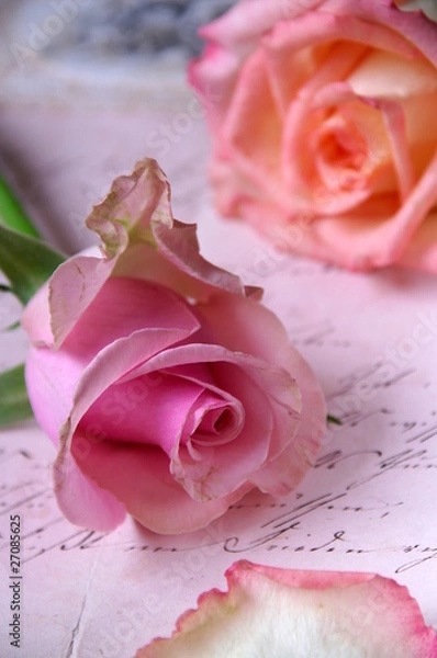 Obraz Rosen auf Brief