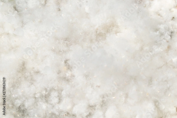 Fototapeta Poplar fluff