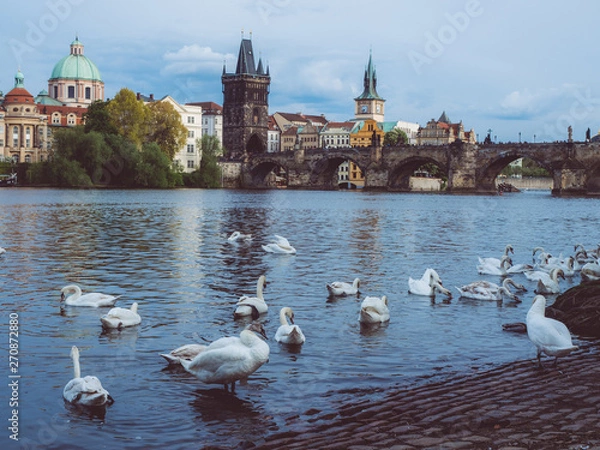 Obraz Praga alchimista