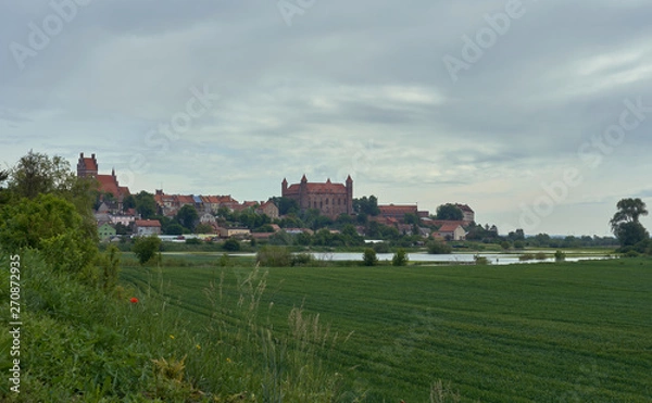 Obraz Panorama miasta Gniew