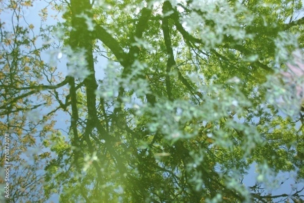 Obraz Reflections in the waves