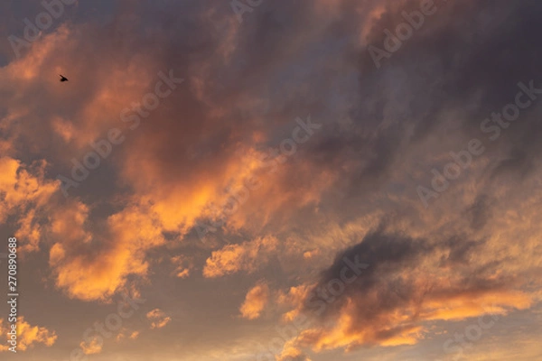 Fototapeta Clouds sky