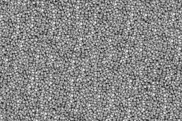 Obraz buckwheat grain background vegetable toned background background toned crop web design